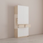 шкаф Луксор 2