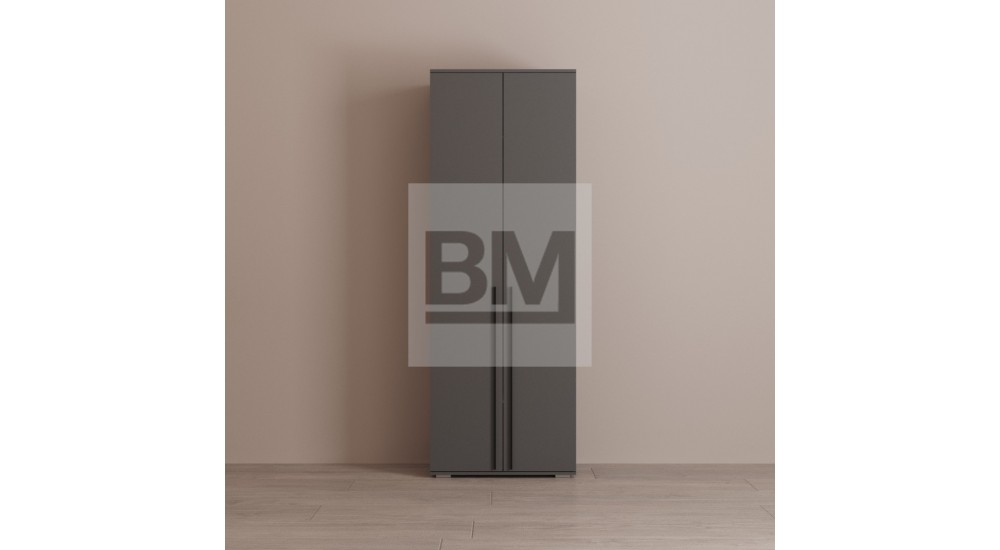 шкаф Турин 2